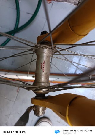 Bicicleta de montaña Giant clásica