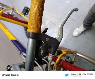 Bicicleta de montaña Giant clásica