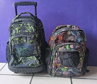 Mochilas Escolares con Carro