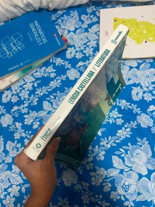 Lengua castellana y literatura