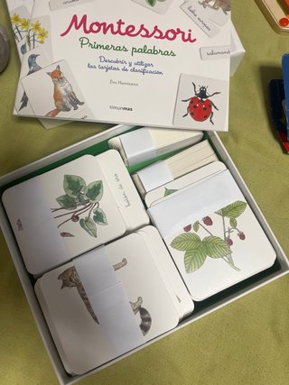 Juego Montessori Primeras Palabras