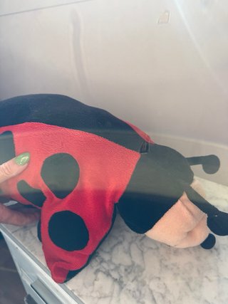 Cubre cinturón coche infantil mariquita