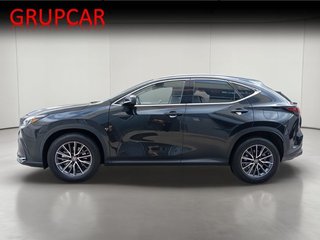 Lexus NX BUSINESS CITY 4WD