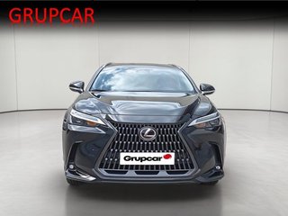 Lexus NX BUSINESS CITY 4WD