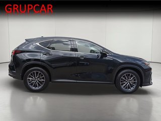 Lexus NX BUSINESS CITY 4WD