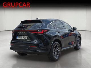 Lexus NX BUSINESS CITY 4WD