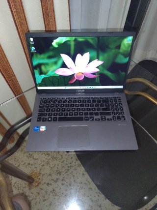 Portátil Asus Gris