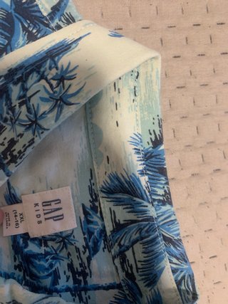 Camisa Gap Kids 14/16 Palmeras Azul y Blanca
