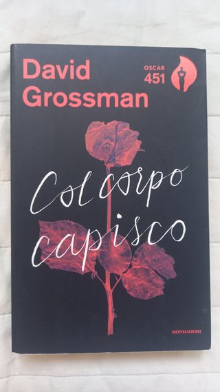 Col corpo capisco - David Grossman