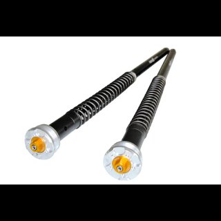 Cartuchos Andreani ZX6R 05-06