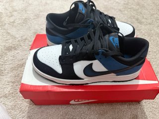 Nike Dunk Low Retro NASA Azul Blanco