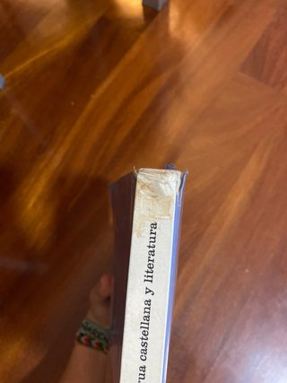 Lengua castellana y literatura 1 Bachillerato