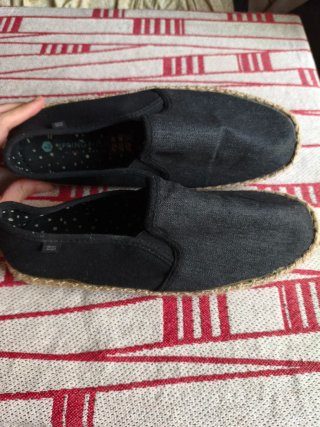 Alpargatas Springfield Negras Talla 42