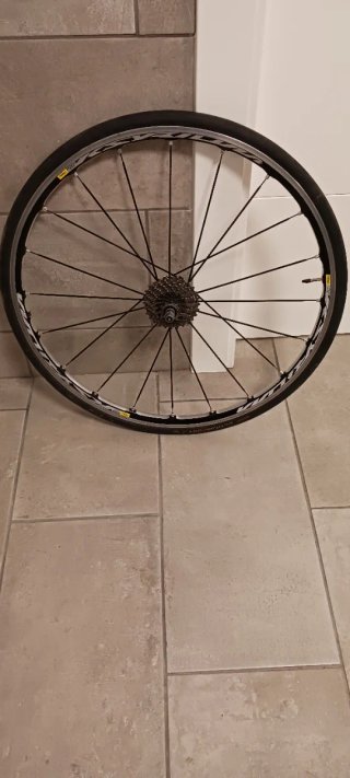 Bicicleta de carbono