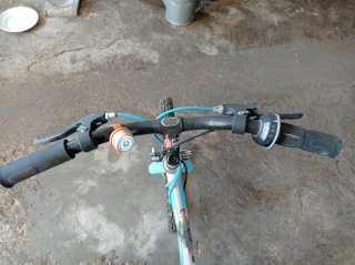 Bicicleta Panther Rabasa Clásica Roja + Bicicleta