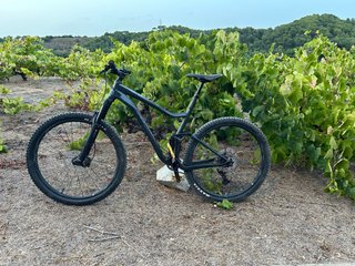 Bicicleta Giant Negra talla L