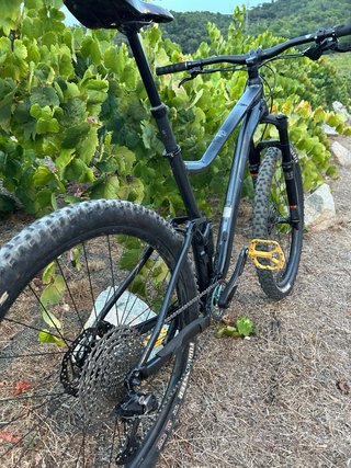 Bicicleta Giant Negra talla L