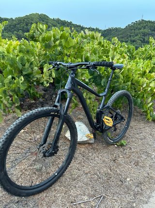 Bicicleta Giant Negra talla L