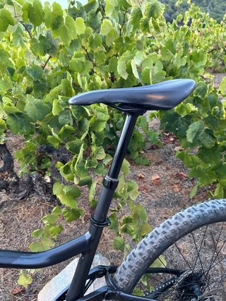 Bicicleta Giant Negra talla L
