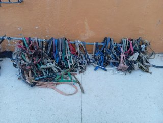 Cabezadas de cuadra para caballos