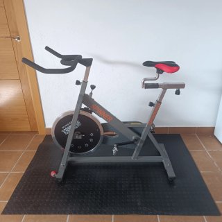 Bicicleta Spinning 25kg Volante