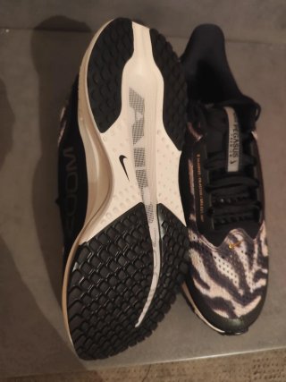 Nike Pegasus Talla 40.5