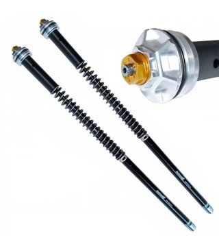 Cartuchos Andreani Transalp 750 23-25