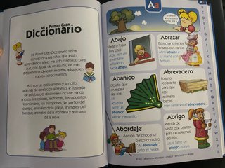 Mi primer gran diccionario - Libro para aprender