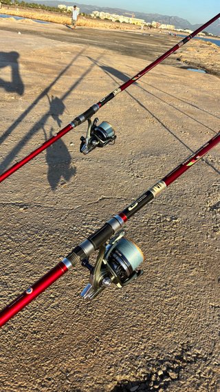 Pareja Carretes Vercelli Oxygen SS