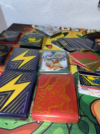 Fundas Pokemon y separadores