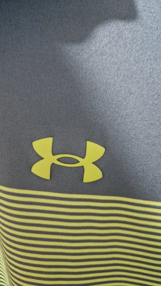 Camiseta the playoff Under Armour