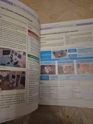 Desarrollo cognitivo y motor
