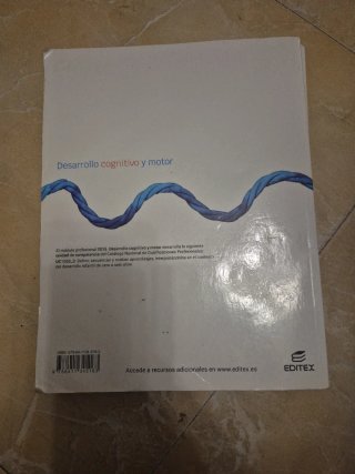 Desarrollo cognitivo y motor