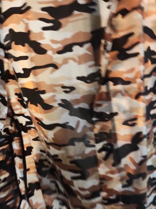 Cazadora Zara Camuflaje Semitransparente