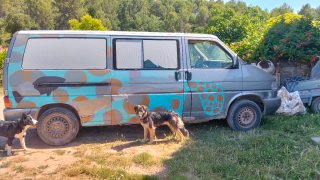 Volkswagen Caravelle 2000