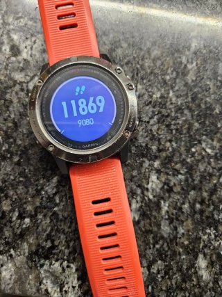 Garmin Fenix 5x Rojo