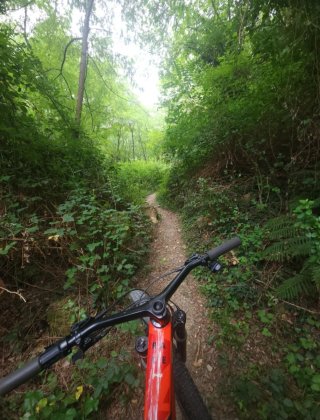 Rockrider 940s Bicicleta Montaña