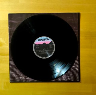 VINILO LP GTR