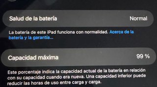 Apple iPad Gris/Plateado