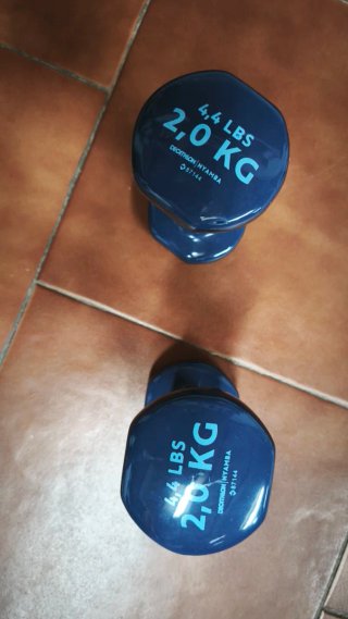 2 Pesas Decathlon 2kg (4.4 LBS)