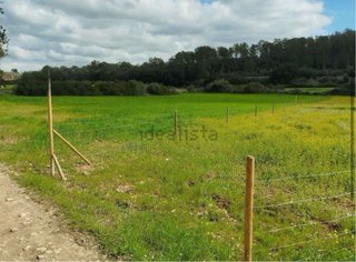 TERRENO RÚSTICO EN PINA – 1.750 m² – algaida