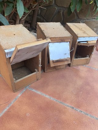 3 Nidos para pájaros de madera