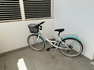 Bicicleta urbana DENBIKE 24 con cesta
