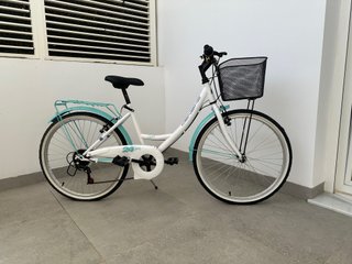 Bicicleta urbana DENBIKE 24 con cesta