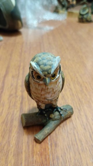 BÚHOS DE COLECCIÓN, LOTE 5