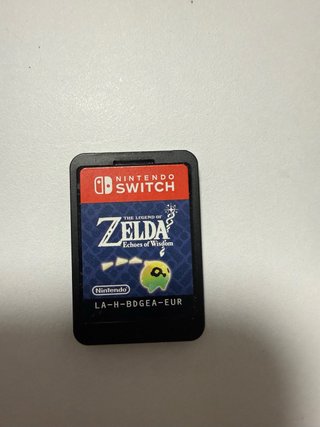 Zelda: Echoes of Wisdom