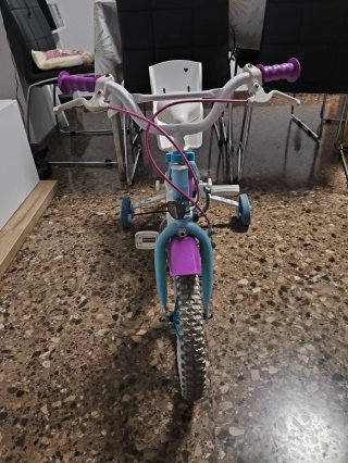 Bicicleta Frozen con Ruedines y Sillita