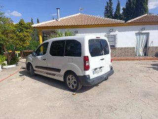 Peugeot Partner 2010