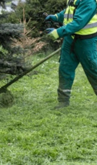 Limpieza de terrenos y parcelas