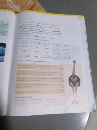 Lengua 3 Primaria : Operación Mundo